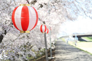 2012年4月10日　お花見